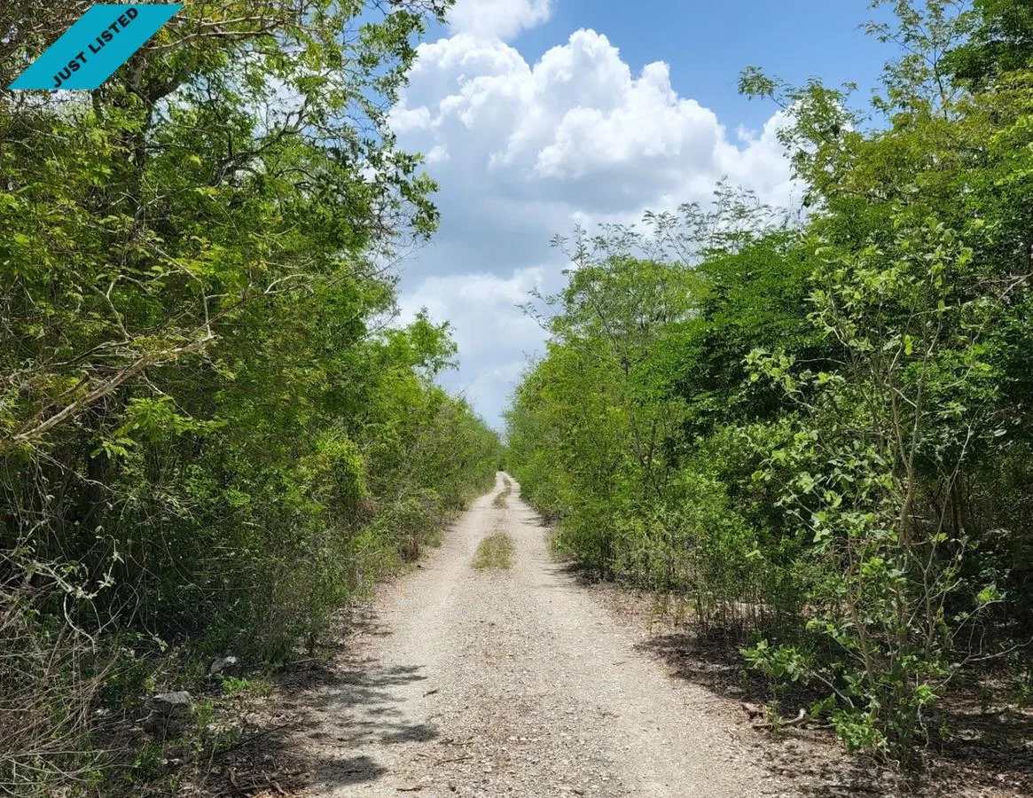 TERRENO EN VENTA MERIDA, KIKTEIL  (AVT-1194)