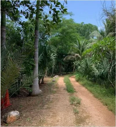 TERRENO EN VENTA 333 HECTAREAS MUCHAS POSIBILIDADES EN POPOLA VALLADOLID (FVT-2821)